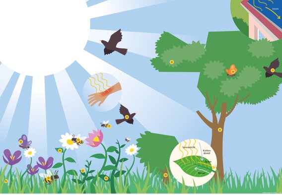 Teaser-Bild: **Kraftwerk** im All