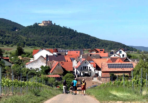 Teaser-Bild: **Die Pfalz** genießen