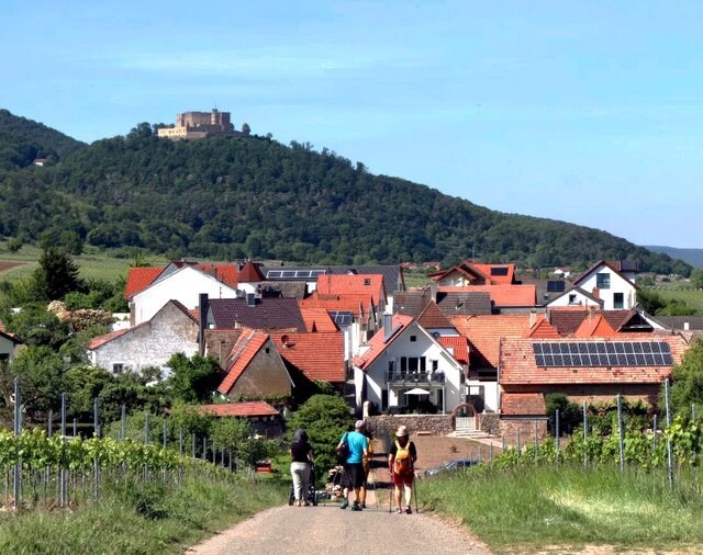 © Touristinformation Maikammer