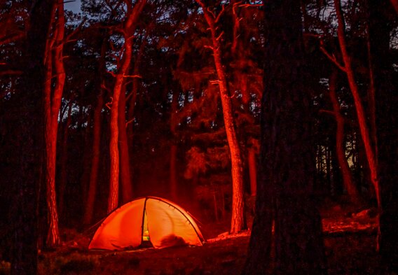 Teaser-Bild: Die Nacht ist nicht nur zum Schlafen da