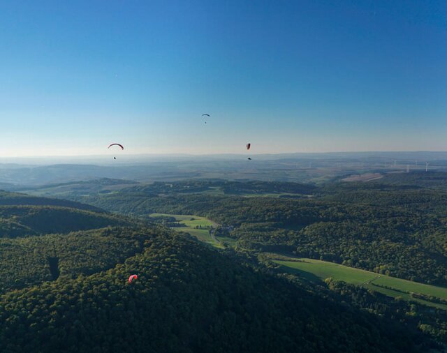 Landschaftsaufnahme | © Guido Ihlein / iStock Das Bild zeigt eine Waldlandschaft aus der Vogelperspektive. Am Himmel schweben Paraglider. | © Guido Ihlein / iStock