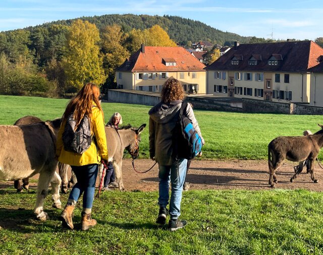 Esel sind neugierig und haben das Unterwegssein im Blut. | © Max Hafi Esel sind neugierig und haben das Unterwegssein im Blut. | © Max Hafi